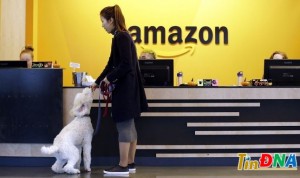 Amazon nói gì khi sa thải 18.000 nhân viên