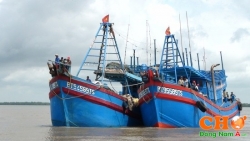 Tìm hợp tác đánh bắt cá tại Brunei