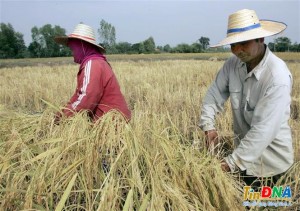 Các nước ASEAN trước cơ hội từ việc EU thúc đẩy phát triển ‘nông nghiệp xanh’